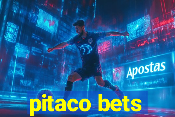 pitaco bets